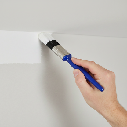 1" EXTRA EDGE BRUSH