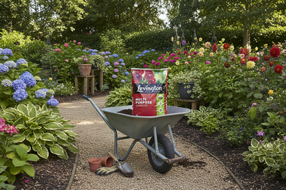 Levington Peat Free Multi Purpose Compost | Child & Pet Friendly | 20 Litre.