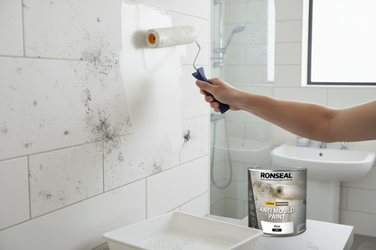 Ronseal Anti Mould Paint | White Silk | 1 x 2.5 Litre