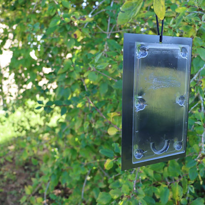 Defenders Tomato Leaf Miner Pheromone Trap - Twinpack