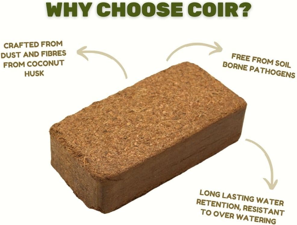Coir Potting Mix Bricks | 100% natural and biodegradable | 650g