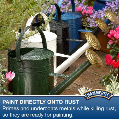 Hammerite No.1 Rust Beater | Direct to Rust | 250ml | Beige