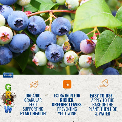 Phostrogen Ericaceous Plant Food, 800g