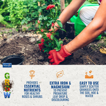 Phostrogen Toprose Rose Shrub & Feed Granules | FERTILIZER for Vibrant Roses 4kg