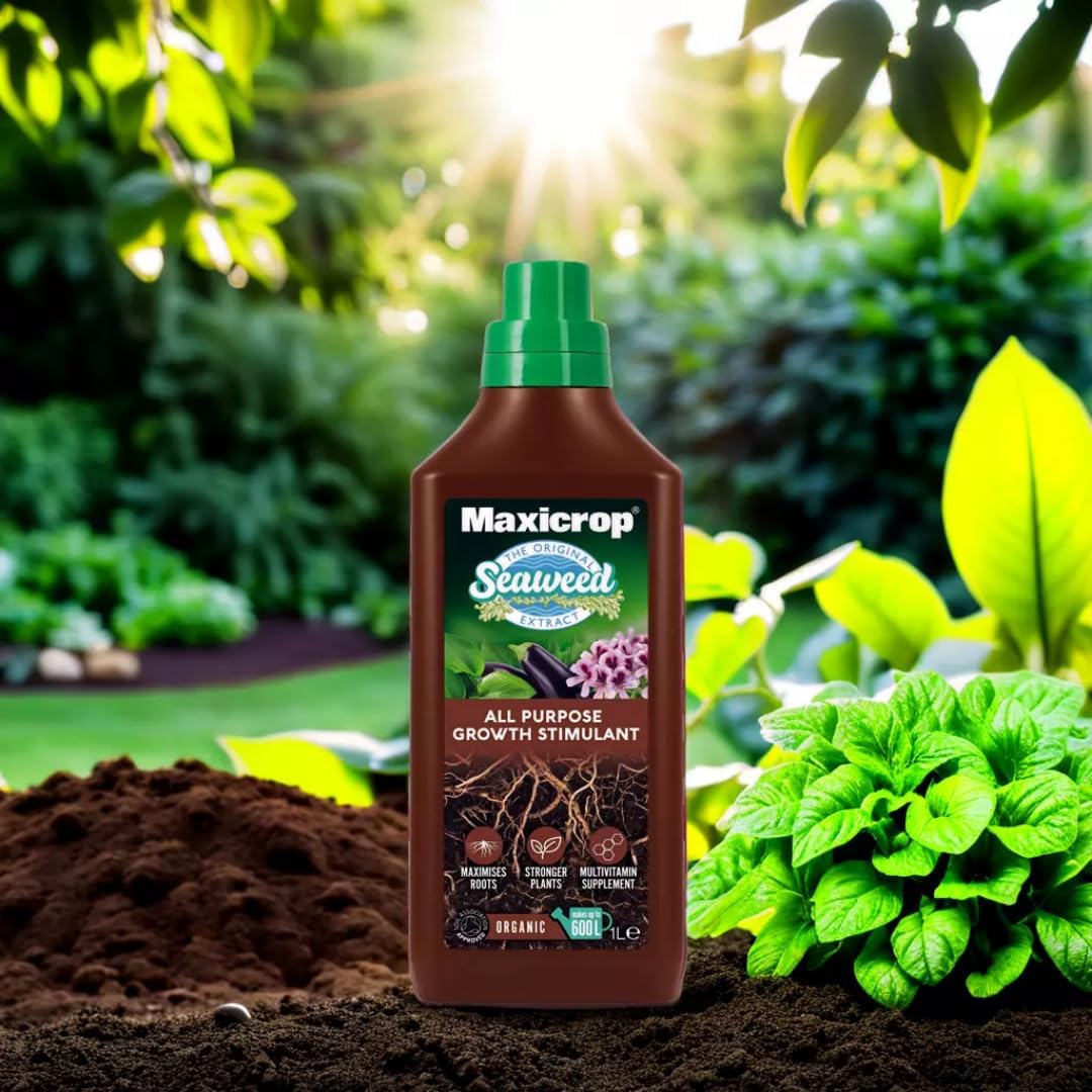 Maxicrop Original Seaweed Extract 1L | Approved for Organic Growing