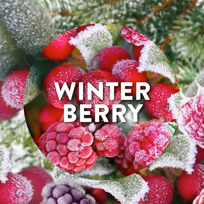 Airwick Freshmatic Refill Winter Berry 250ml