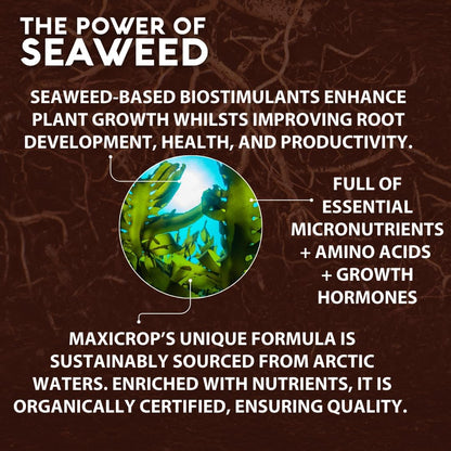 Maxicrop Original Seaweed Extract 1L | Approved for Organic Growing