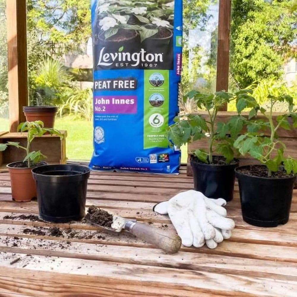 Levington Peat Free John Innes No2 Compost - 10L