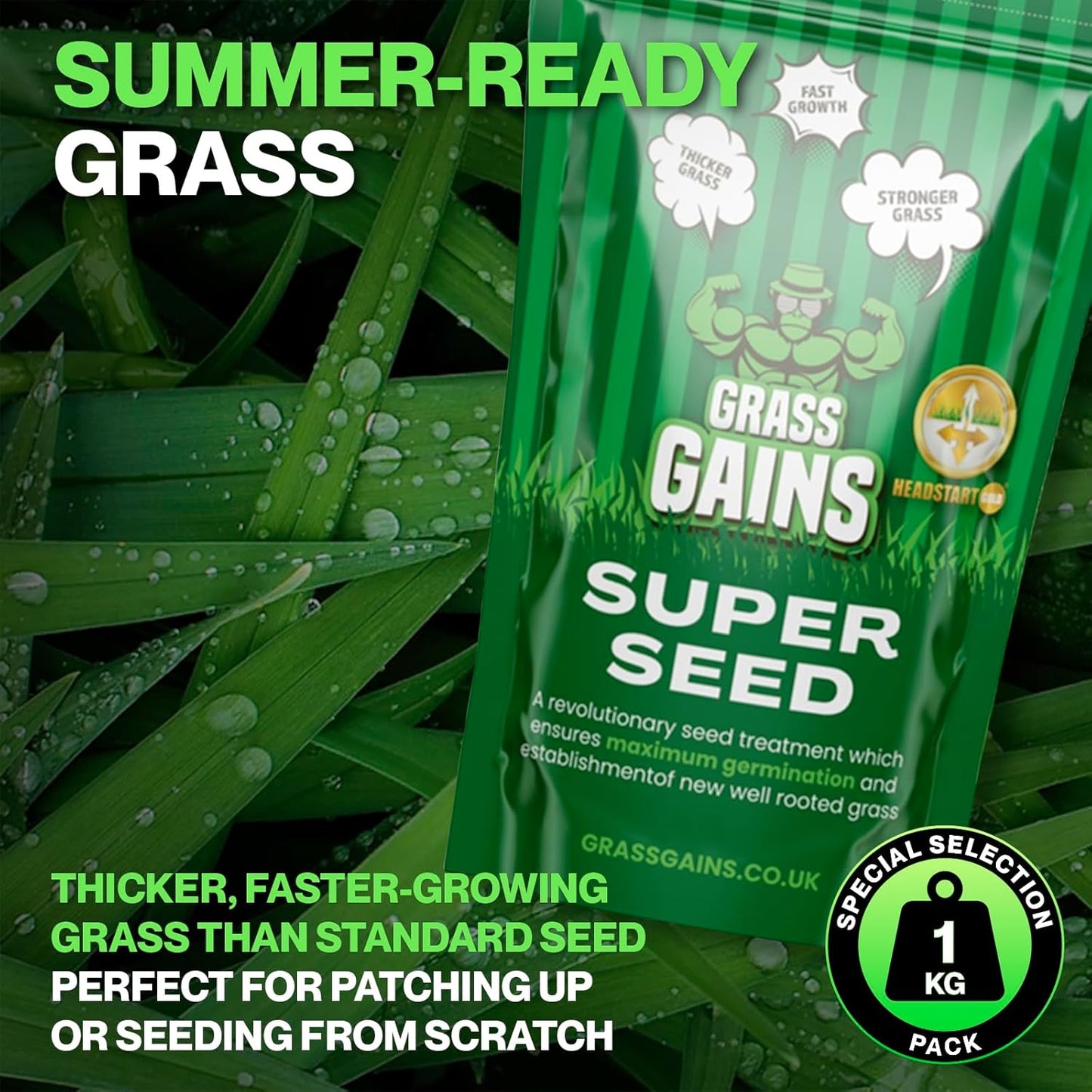 Grass Gains Super Seed 1KG, Fast Growth Lawn Seed
