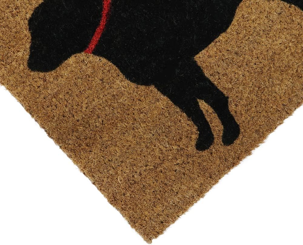 Jvl Eco-Friendly Latex Backed Coir Door Mat, Puppy Love, 40 X 70 Cm Approx. (02-838)