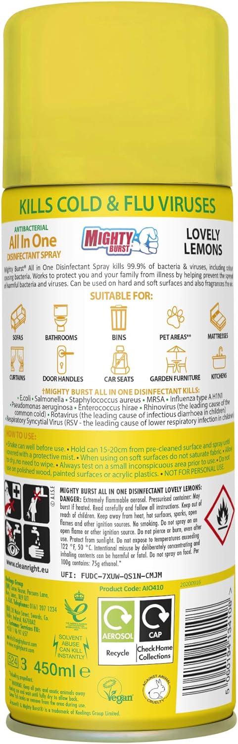 Airpure All In One Citrus Zing Disinfectant Spray 450ml