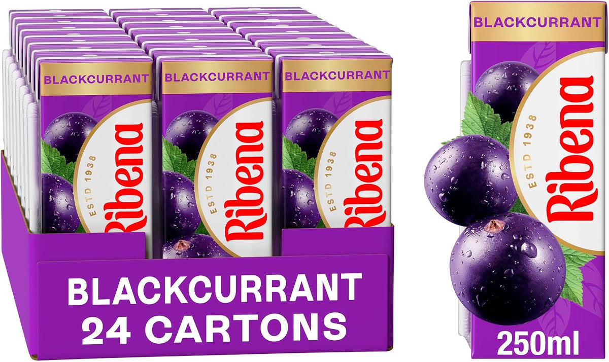 Ribena Blackcurrant Juice Kid Party Vitamin C Flavour Fruit Carton Pack 24x250ml