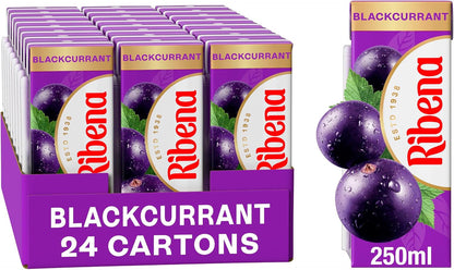 Ribena Blackcurrant Juice Kid Party Vitamin C Flavour Fruit Carton Pack 24x250ml