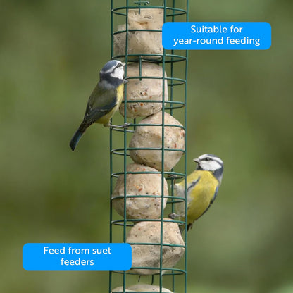 RSPB - Fat Balls for Wild Birds | High Energy Suet Balls | Made in the UK | 1 x 50 Box