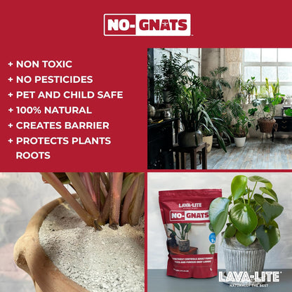 Lava-Lite No Gnats | Original Natural Fungus Gnat Killer for Houseplants, Soil & Compost | Child & Pet Safe | Cost Effective, Chemical Free Pest Control.