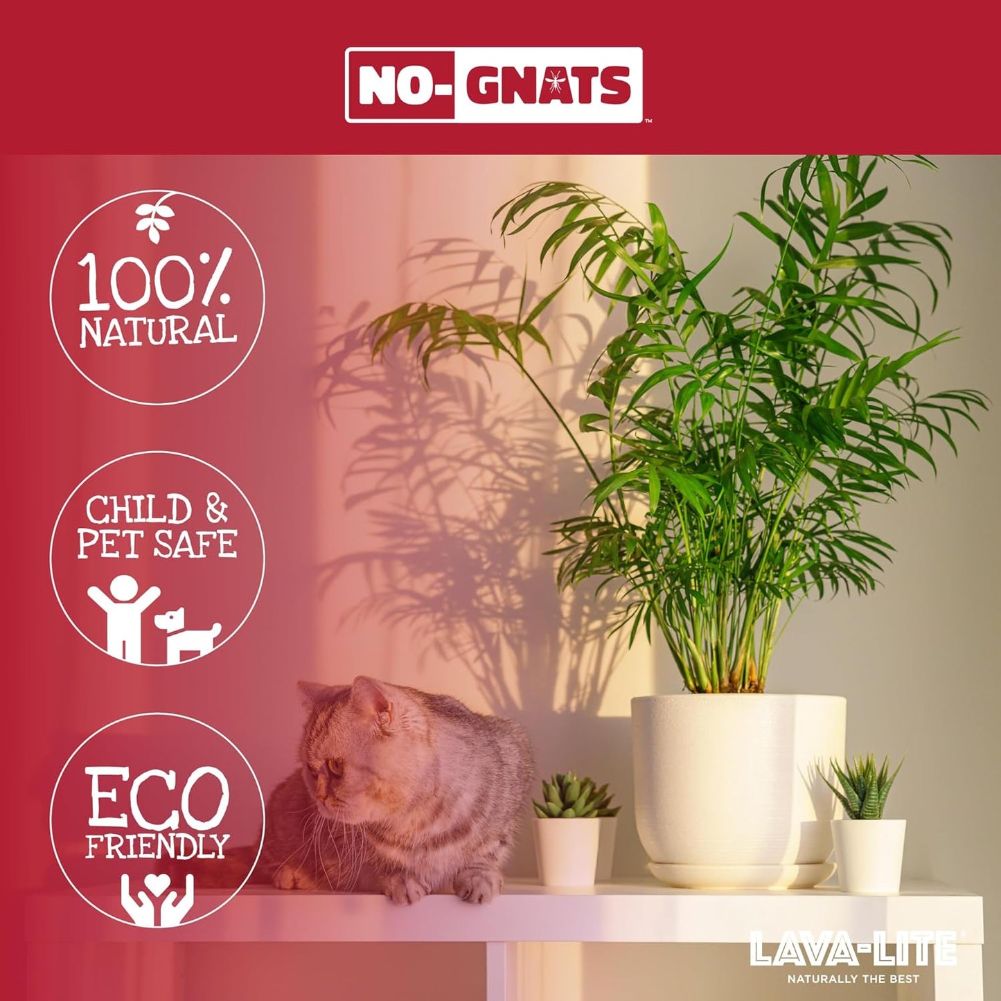 Lava-Lite No Gnats | Original Natural Fungus Gnat Killer for Houseplants, Soil & Compost | Child & Pet Safe | Cost Effective, Chemical Free Pest Control.