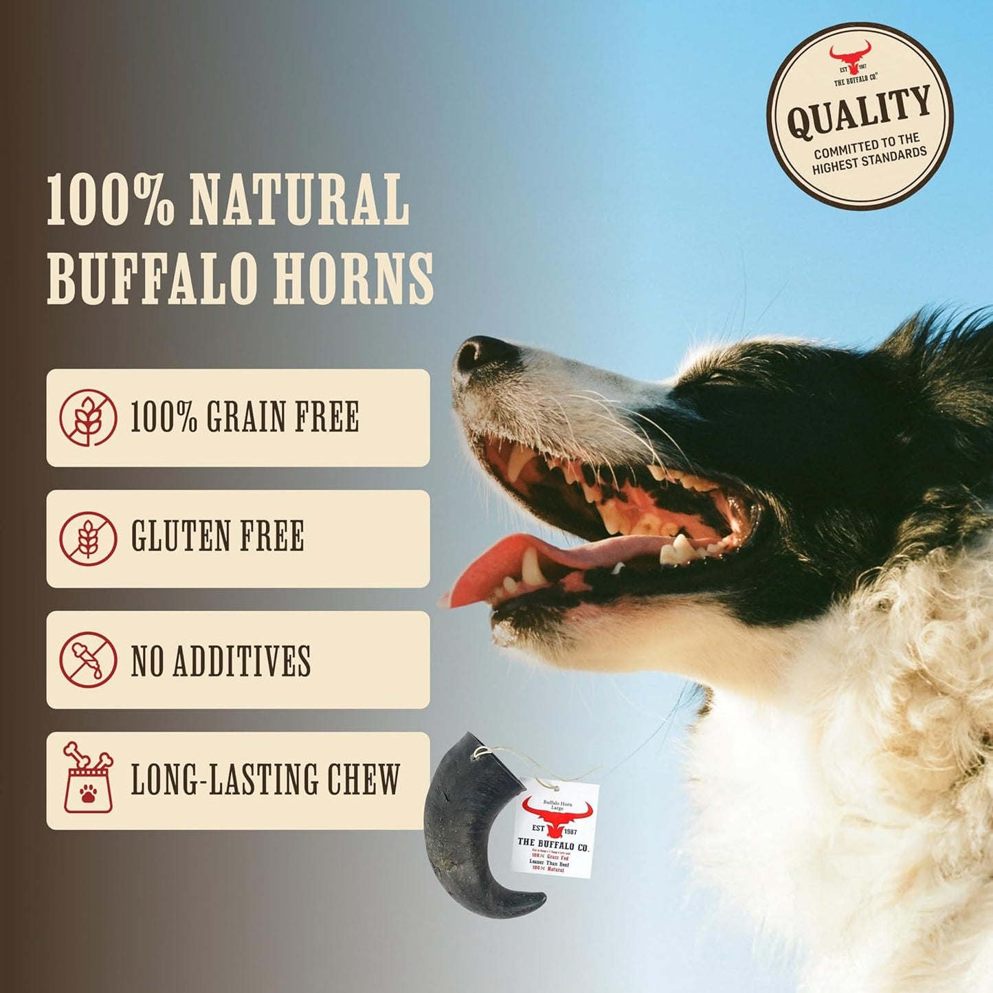 The Buffalo Co. Buffalo Horns for Dogs Small 4–5 Inch