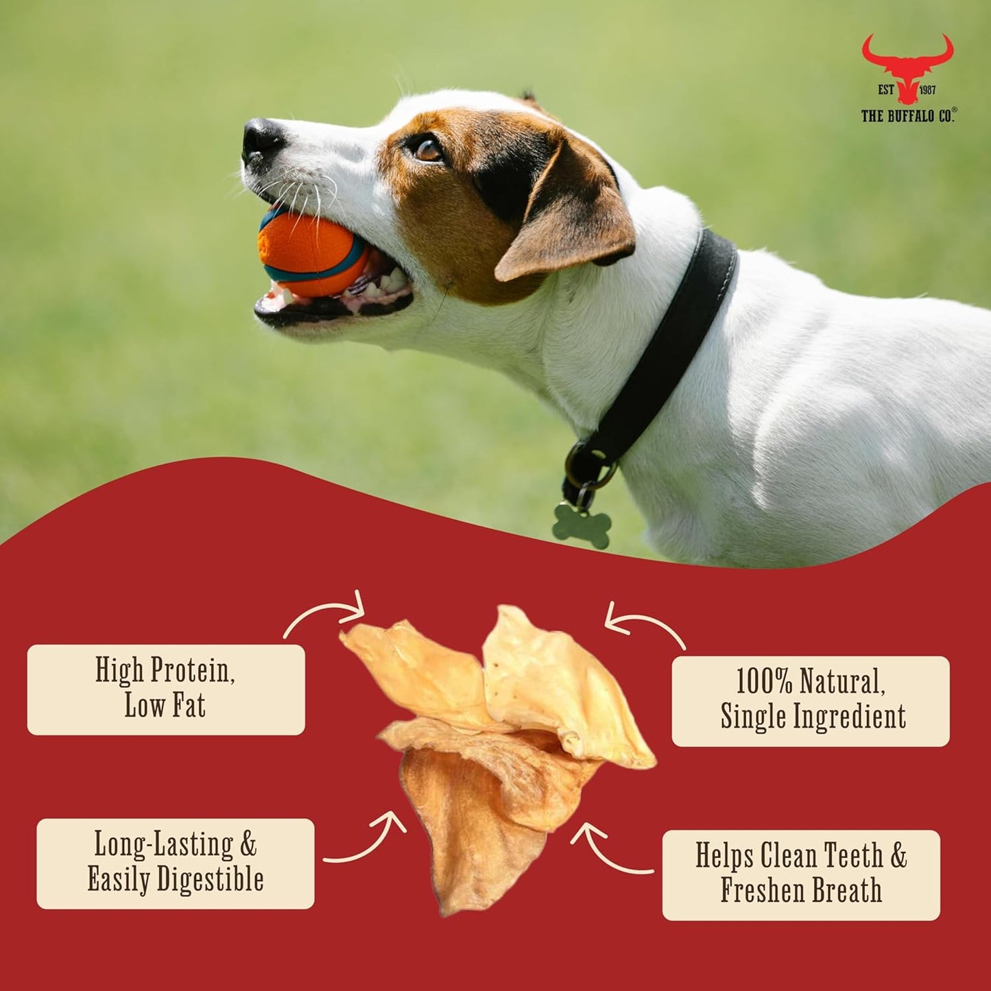 The Buffalo Co. Buffalo Ears for Dogs | Natural Grass-Fed Dog Treats | BULK Pack x 50