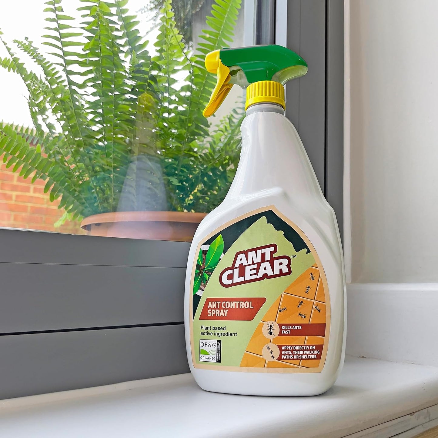 Antclear Ant Control 800ml Trigger Spray