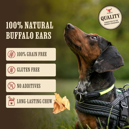 The Buffalo Co. Buffalo Ears for Dogs | Natural Grass-Fed Dog Treats | BULK Pack x 50