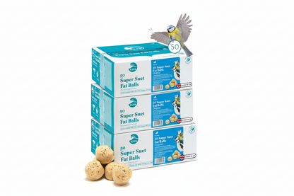 RSPB - Fat Balls for Wild Birds | High Energy Suet Balls | Made in the UK | 1 x 50 Box
