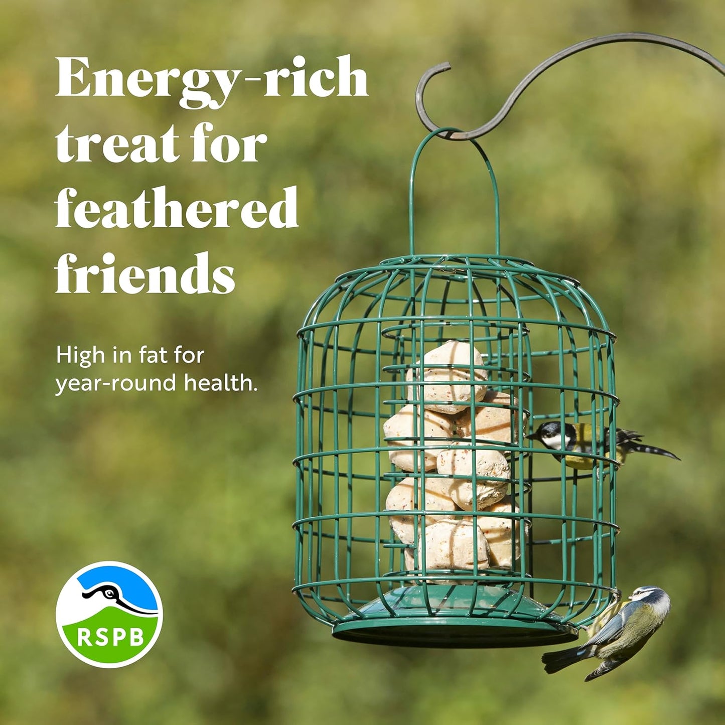RSPB - Fat Balls for Wild Birds | High Energy Suet Balls | Made in the UK | 1 x 50 Box