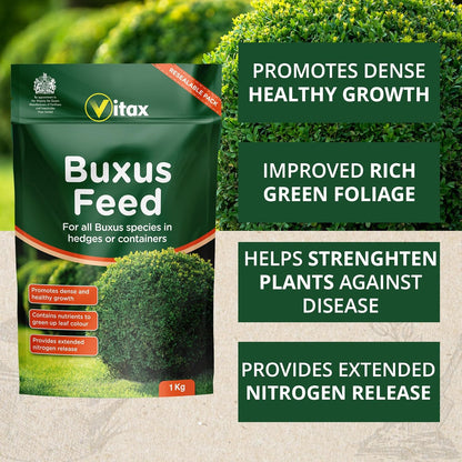 Vitax Buxus Feed  | Extended Nitrogen Release, Promotes Healthy Growth: 1Kg Pouch