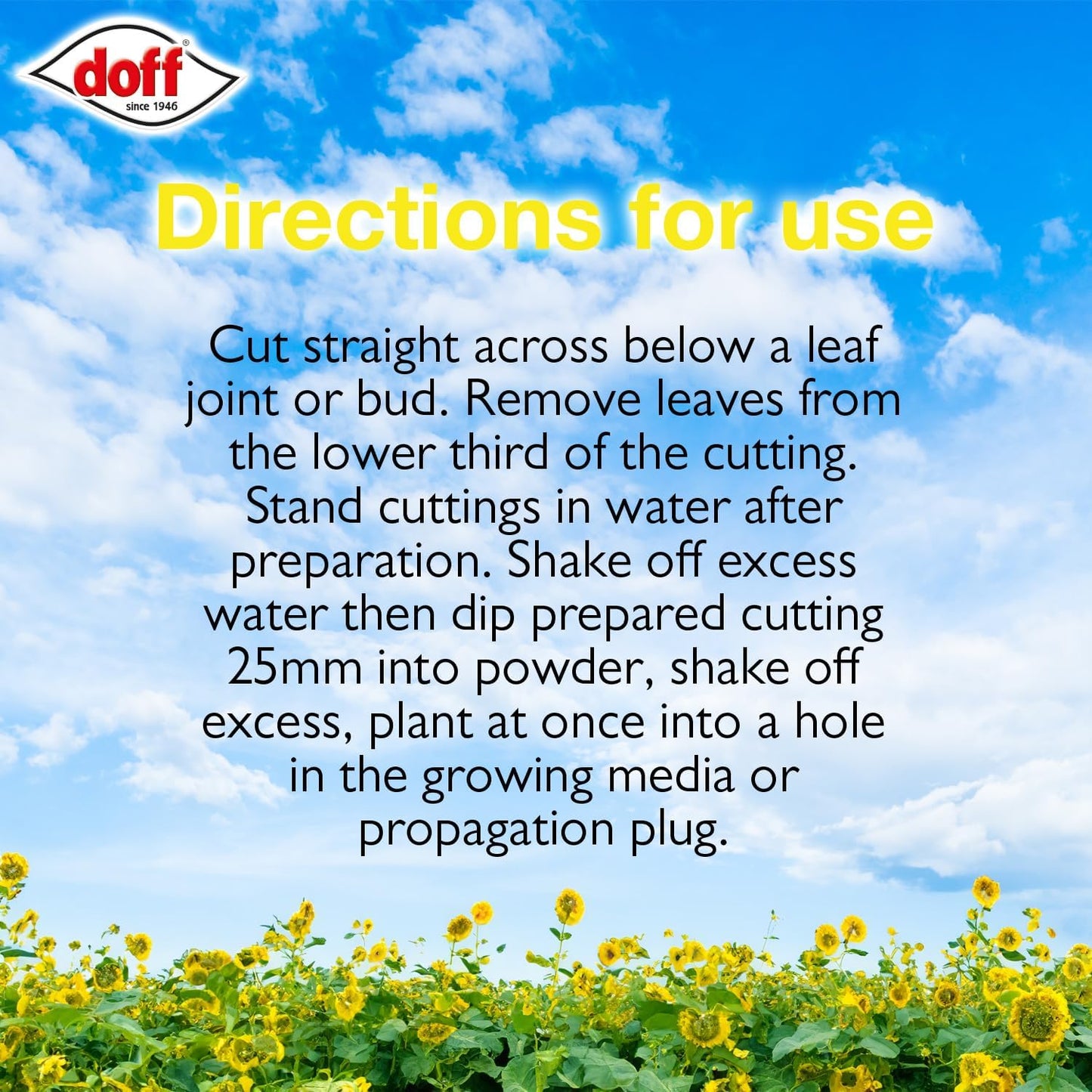 Doff Natural Rooting Powder 75g