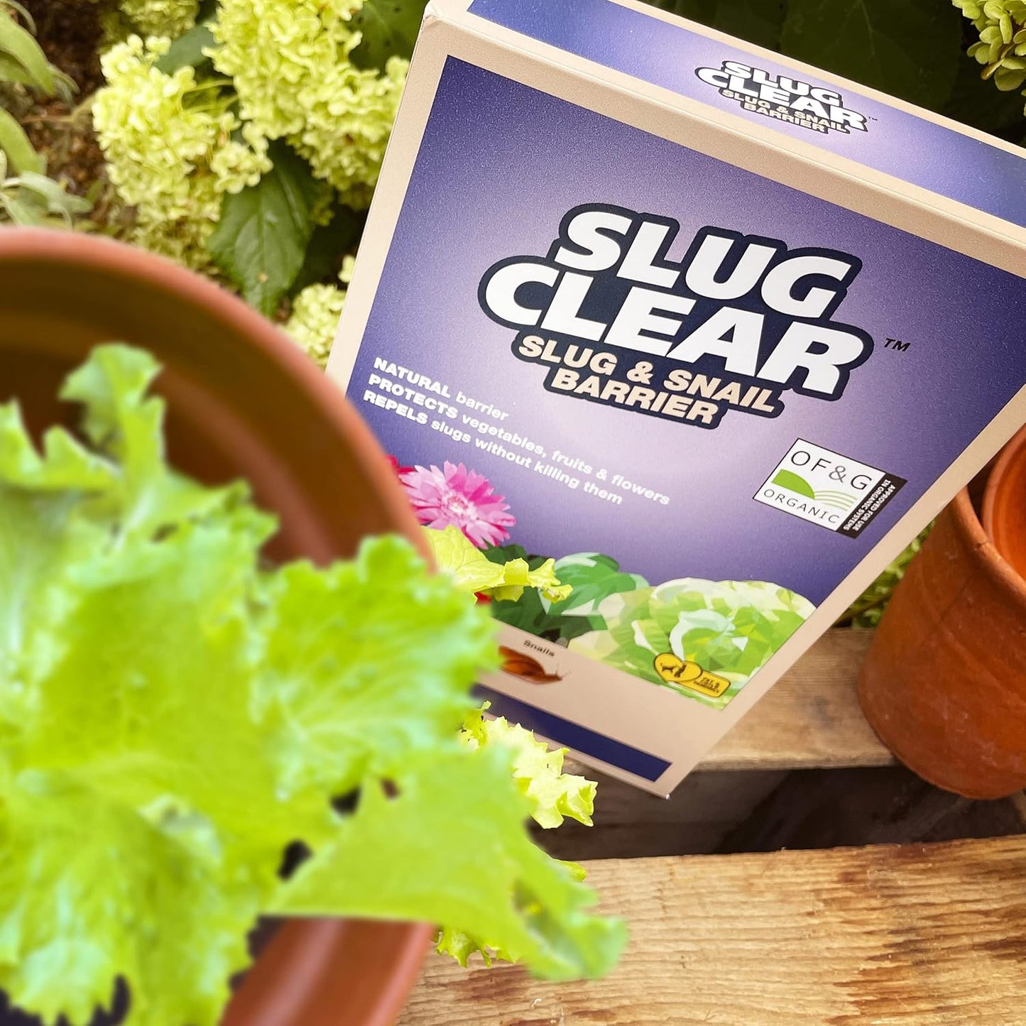 Clear Slugclear Slug & Snail Barrier, 2.5 Kg
