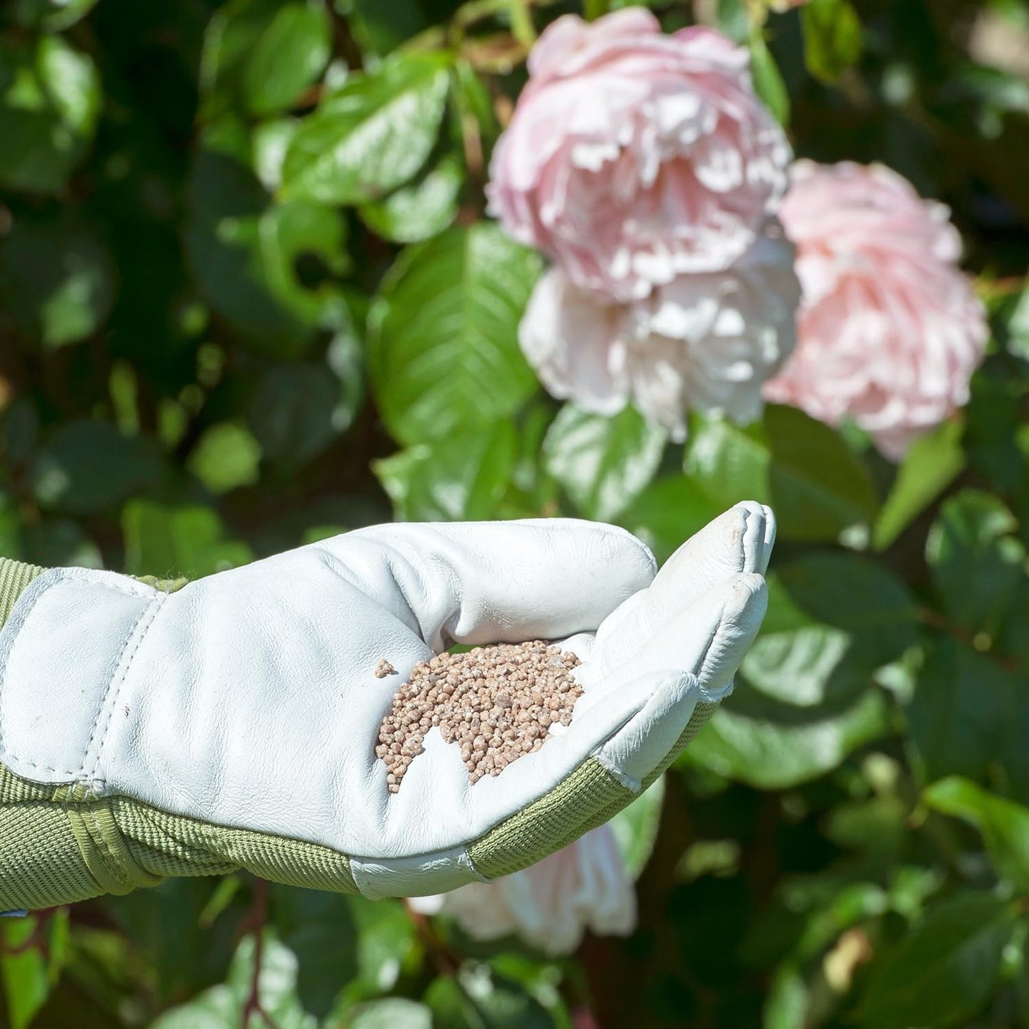 Rose & Shrub Plant Food 750g Pouch.