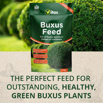 Vitax Buxus Feed  | Extended Nitrogen Release, Promotes Healthy Growth: 1Kg Pouch