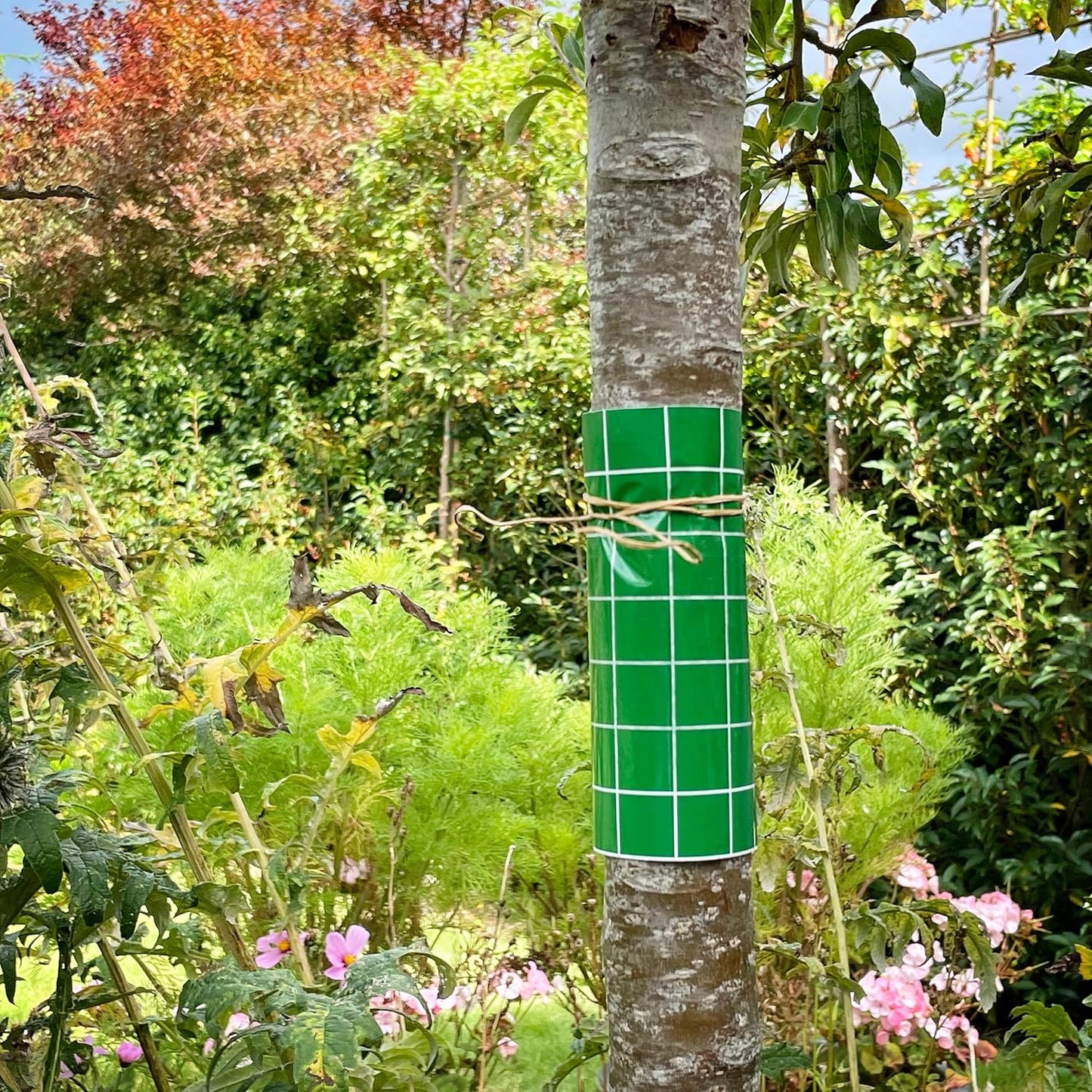 BugClear™ Insect Glue Barrier 5 Metre