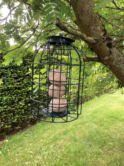 Oakdale Squirrel Resistant Fatball Bird Feeder