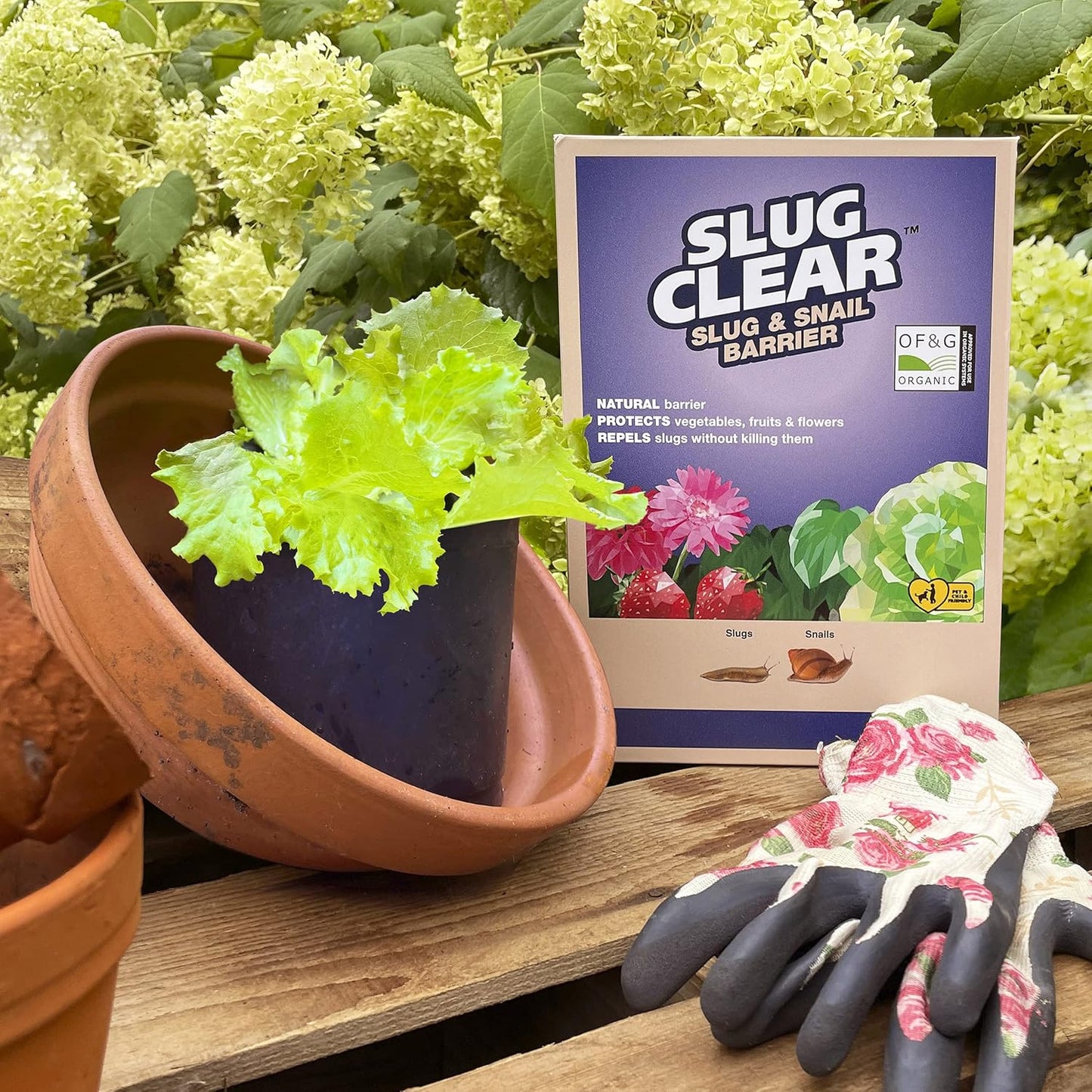 Clear Slugclear Slug & Snail Barrier, 2.5 Kg