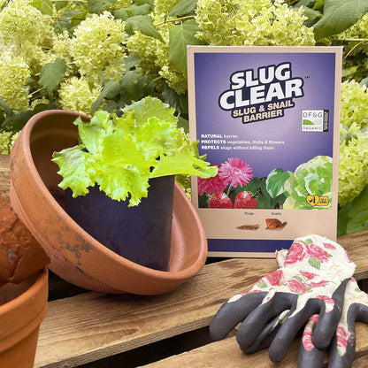 Clear Slugclear Slug & Snail Barrier, 2.5 Kg