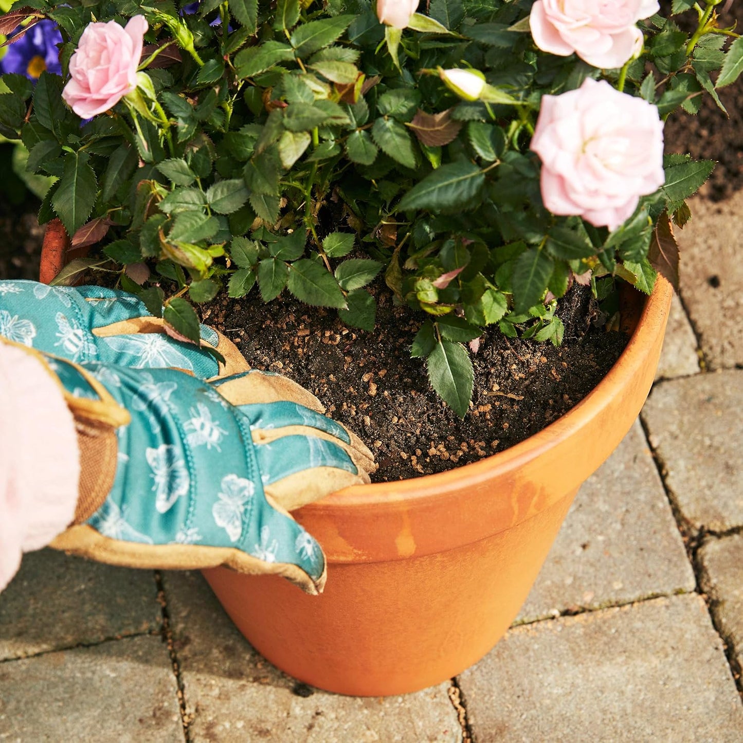 Miracle-Gro Performance Organics All Purpose Granular Plant Food, 1kg