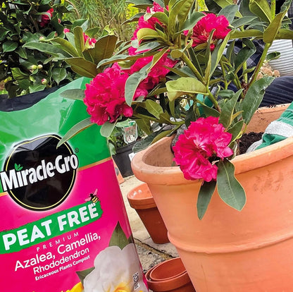 Miracle-Gro Peat Free Azalea Camellia Rhododendron Ericaceous Potting Compost 10L Bag