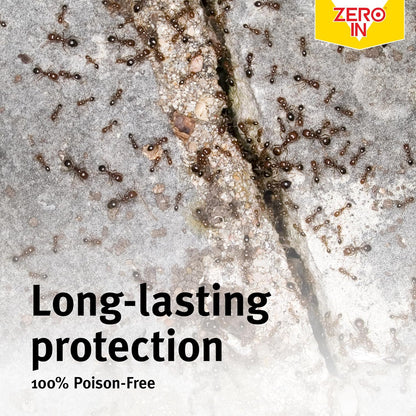 Zero In® Ant And Crawling Insect Trap Refill | 1 x  4 Pack