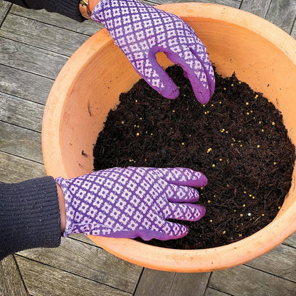 Miracle-Gro Premium All Purpose Continuous Release Plant Food, 2kg