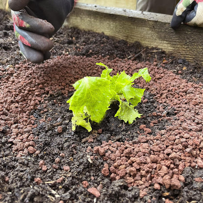 Clear Slugclear Slug & Snail Barrier, 2.5 Kg