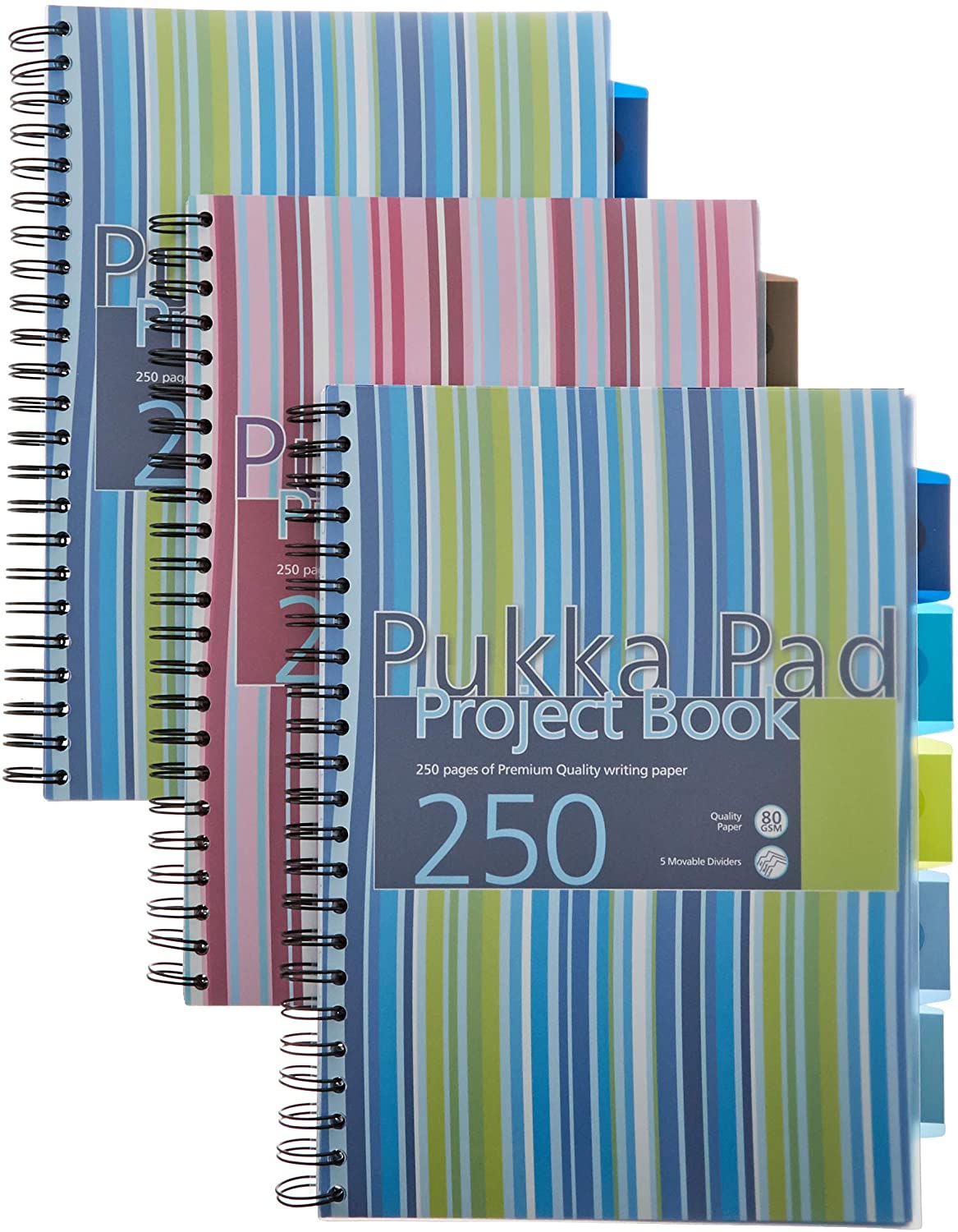 Pukka Pad Stripes Polypropylene Project Book 250 Pages A4 Blue/Pink (Pack of 3) PROBA4 - NWT FM SOLUTIONS