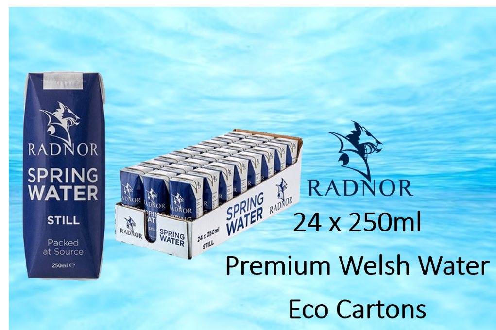 Radnor Hills Spring Still Water 24x250ml Cartons