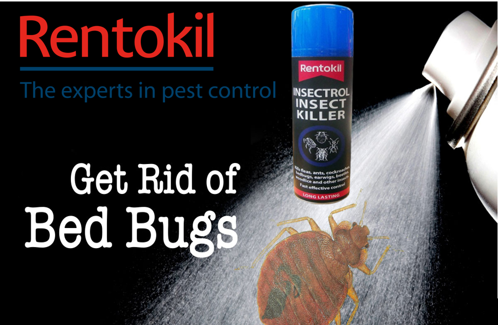 Rentokil All Purpose Insectrol Insect Killer 250ml Fleas, Ants, Cockroaches, Bedbugs etc..