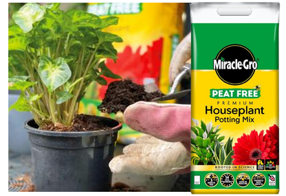 Miracle-Gro Premium Peat-Free Houseplant Potting Mix, 10L