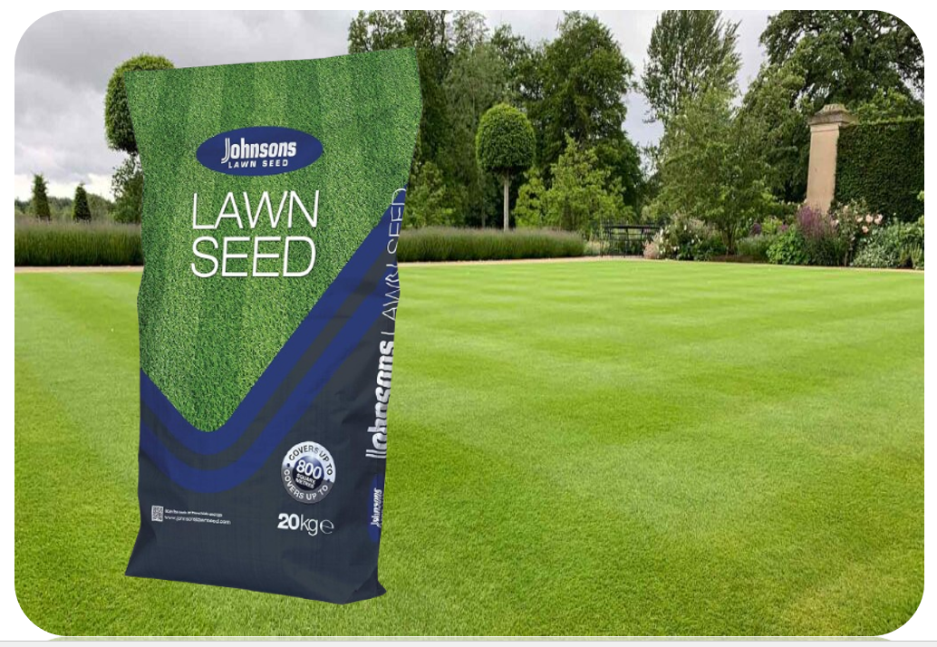 Johnsons Lawn Seed With Rye 20kg Grass | Covers upto 80m2 | Tough Grass