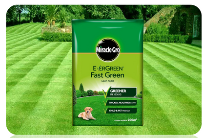 Miracle-Gro Ever Green Fast Thicker Green Grass Lawn Food 7kg - 200m2