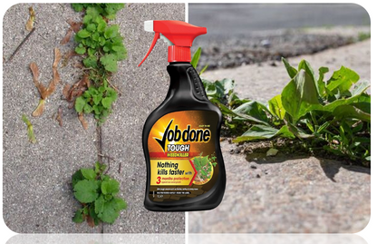 Job Done Tough Weedkiller | 1 Litre Spray | Controls Brambles, Nettles and More.