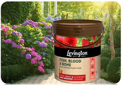 Levington Fish Blood & Bone | More fruit & Flowers | Greener Foliage | 9kg Tub
