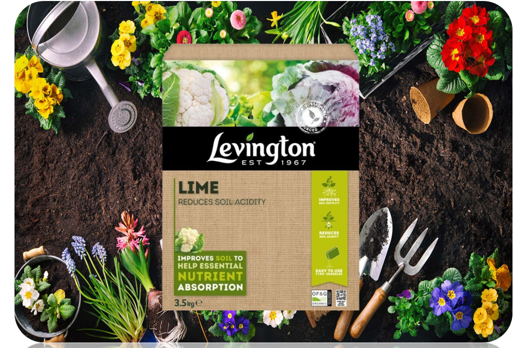 Levington Superphosphate Plant Feed Supplement Plants & Veg 1.5kg.
