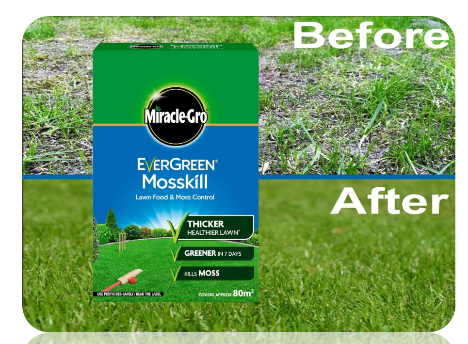 Miracle-Gro Evergreen Mosskill Lawn Food And Moss Control, 2.8Kg, 80m2